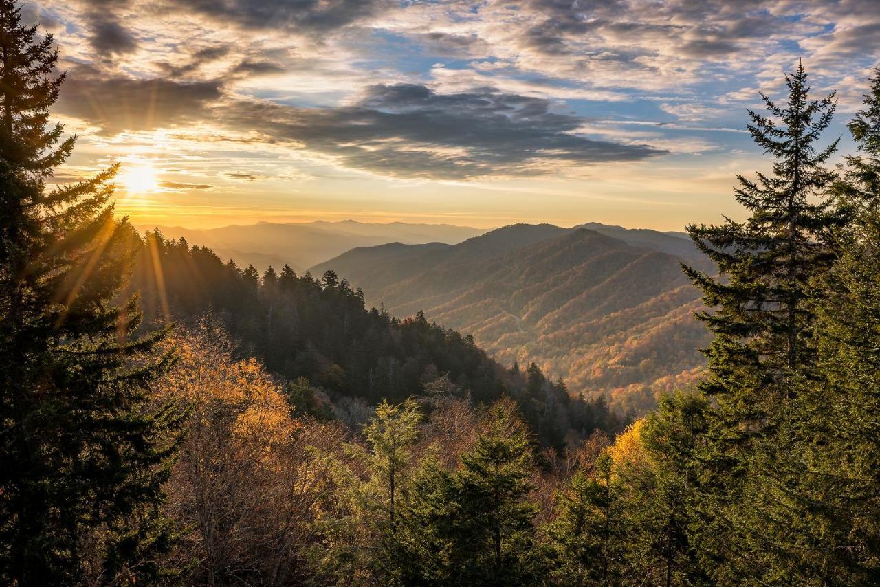 Absolute Delight Whispering Pines 553 Appartement Pigeon Forge Buitenkant foto